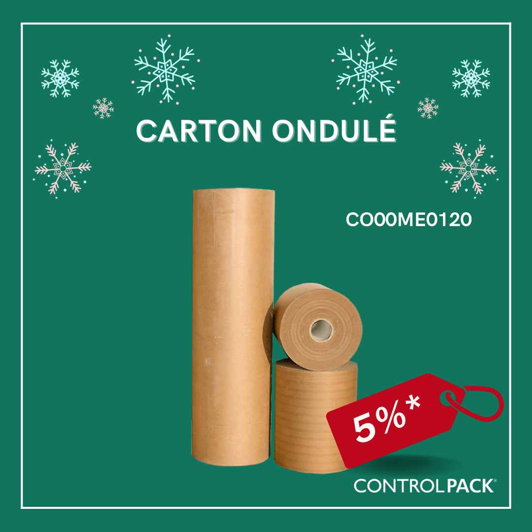 carton ondule reduction noel