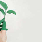 main tenant une plante peinte en vert