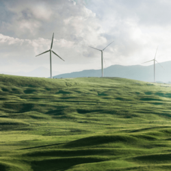 éolienne dans un champ symbolisant l'écologie et l'économie circulaire