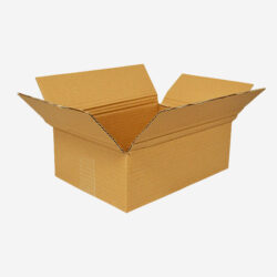 Boîte en carton format B1 30x20x10 cm
