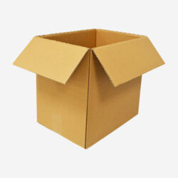 Boîte en carton format B1 31x22x30 cm